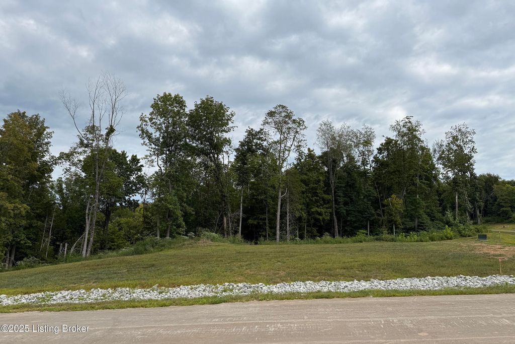 Photo of 4801 Bobcat Cir, La Grange, KY 40031 (MLS # 1697472)