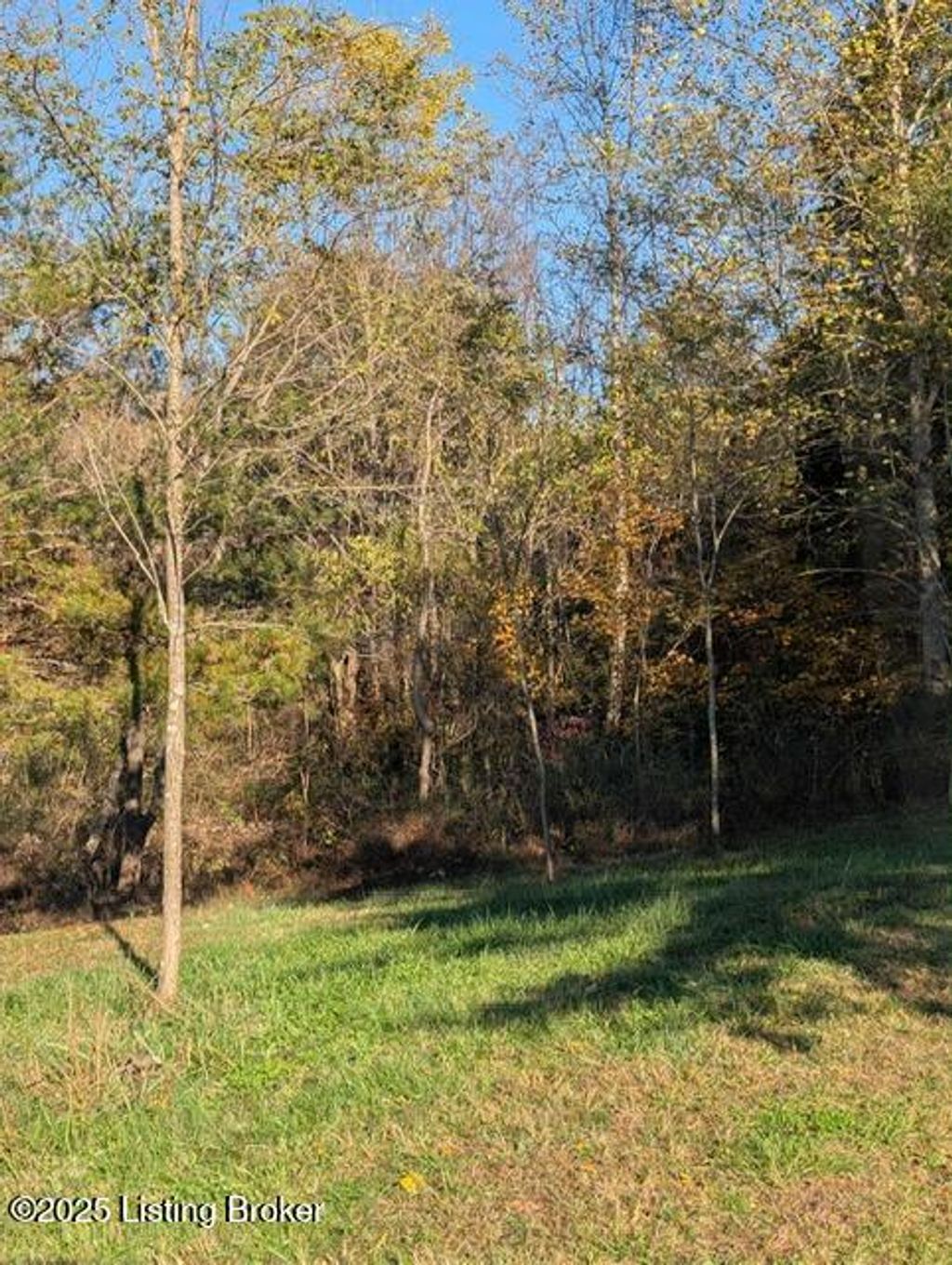 Photo of 522 Harper Valley Rd, Cave City, KY 42127 (MLS # 1703912)