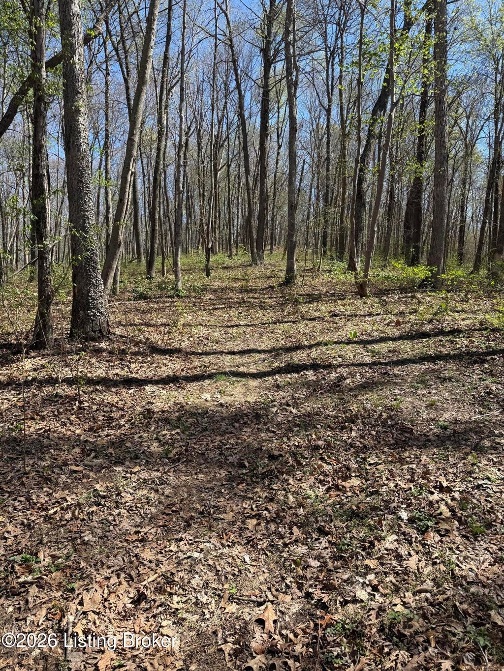 Photo of 9508 Kentucky 86, Irvington, KY 40146 (MLS # 1717696)