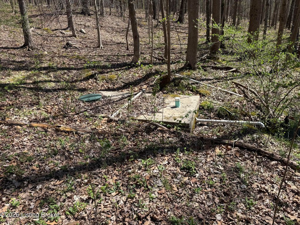 Photo of 9508 Kentucky 86, Irvington, KY 40146 (MLS # 1717696)