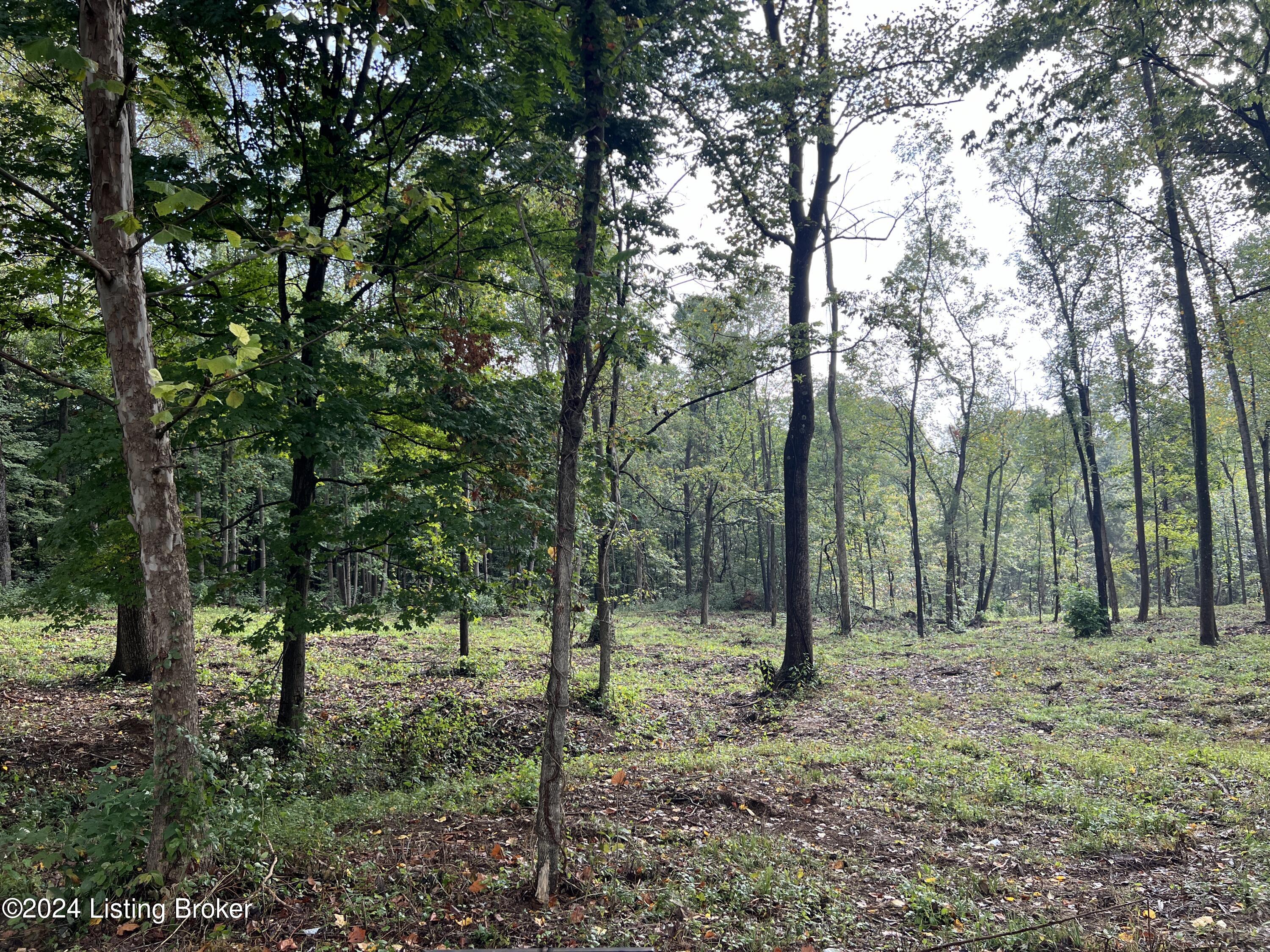 Lot 23 Dogwood Estates, Bedford, Kentucky image 1