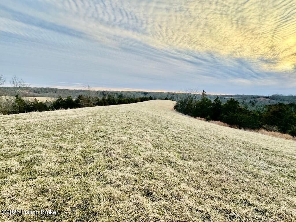 Photo of 13701 Hwy 555, Willisburg, KY 40078 (MLS # 1707798)