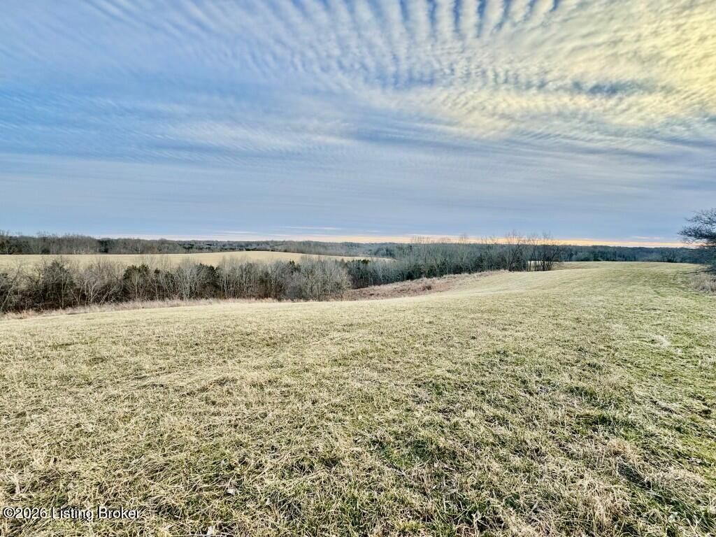 Photo of 13701 Hwy 555, Willisburg, KY 40078 (MLS # 1707798)