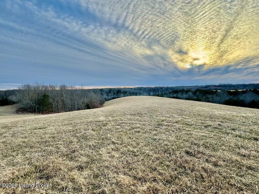 Photo of 13701 Hwy 555, Willisburg, KY 40078 (MLS # 1707798)