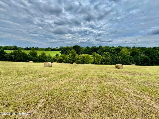 1070 LOGAN RD # 8, GRAVEL SWITCH, KY 40328 - Image 5f72d0fa3e01b81981d61379e708a0d9/1054164680