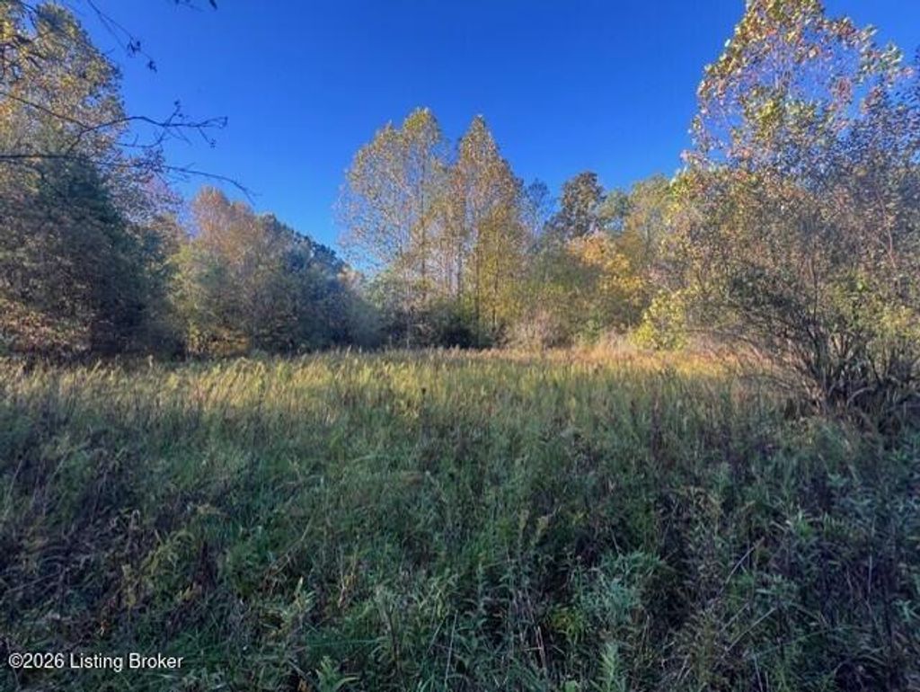 Photo of 0 Dogwood Cross Rd, La Grange, KY 40031 (MLS # 1706933)