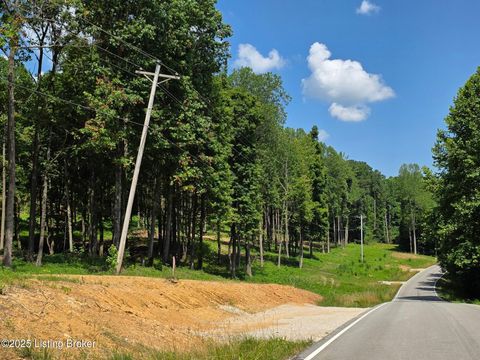 Vacant Land For Sale - Cave Creek Rd<br/> Grayson County, Falls Of Rough, KY 40119