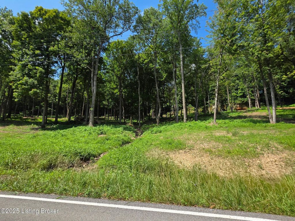 Photo of 0 Cave Creek Rd, Falls Of Rough, KY 40119 (MLS # 1707316)