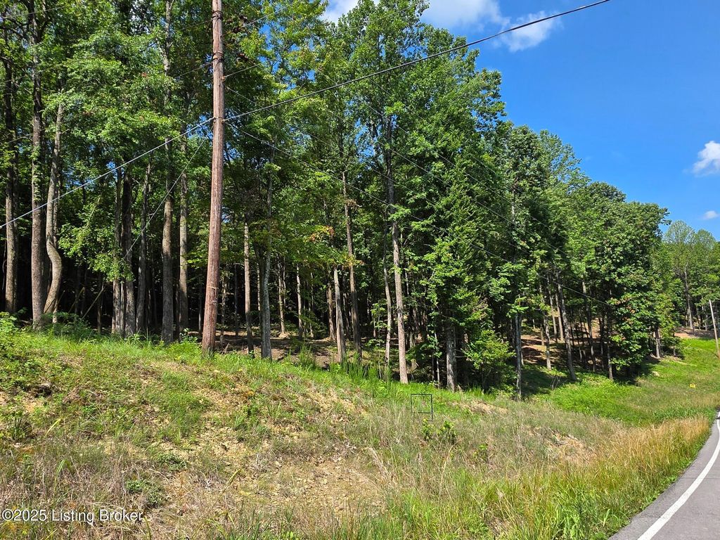 Photo of 0 Cave Creek Rd, Falls Of Rough, KY 40119 (MLS # 1707316)