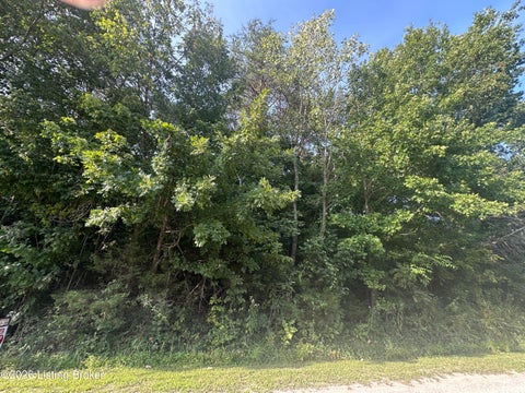 Vacant Land For Sale - 243 Poplar Cir<br/> New Haven, KY 40051