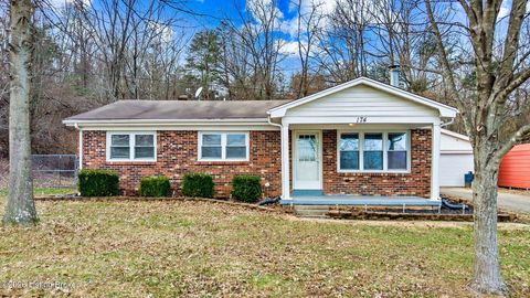 Photo of 174 W Joyce Ln, Brooks, KY 40109 (MLS # 1707909)
