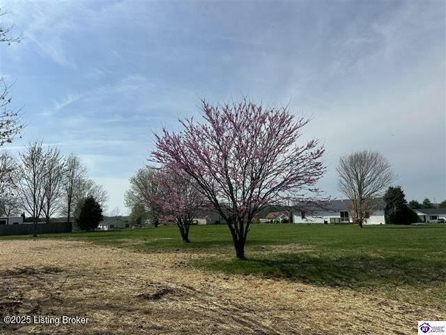 70 Double Ct, Vine Grove, Kentucky image 5