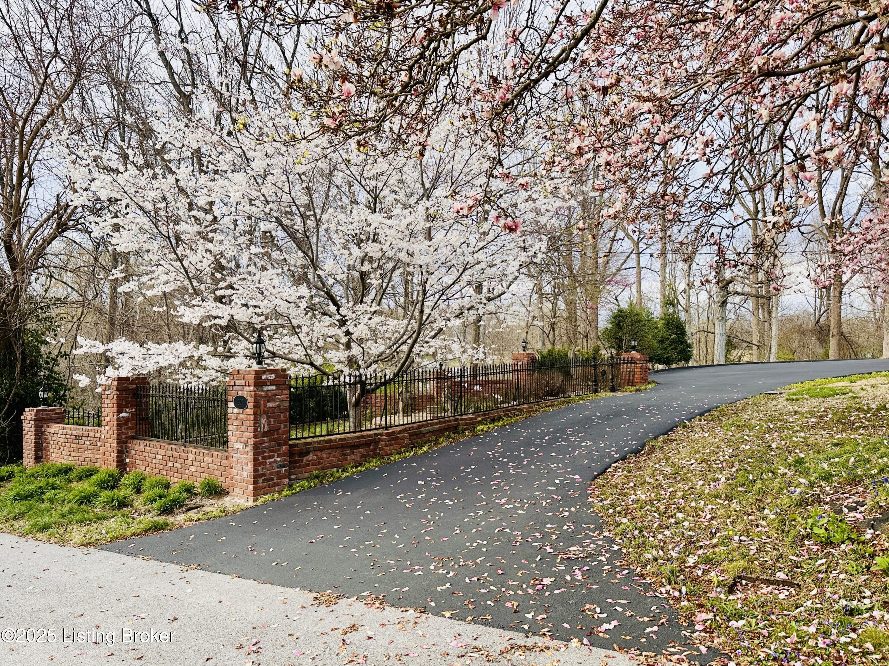 205 W Chestnut St, Leitchfield, Kentucky image 11