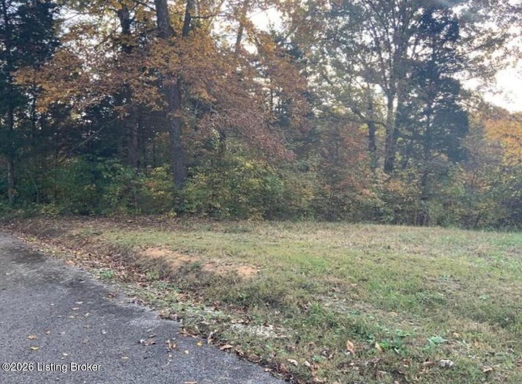 Photo of 27 Beechwood Dr, Nancy, KY 42544 (MLS # 1722630)
