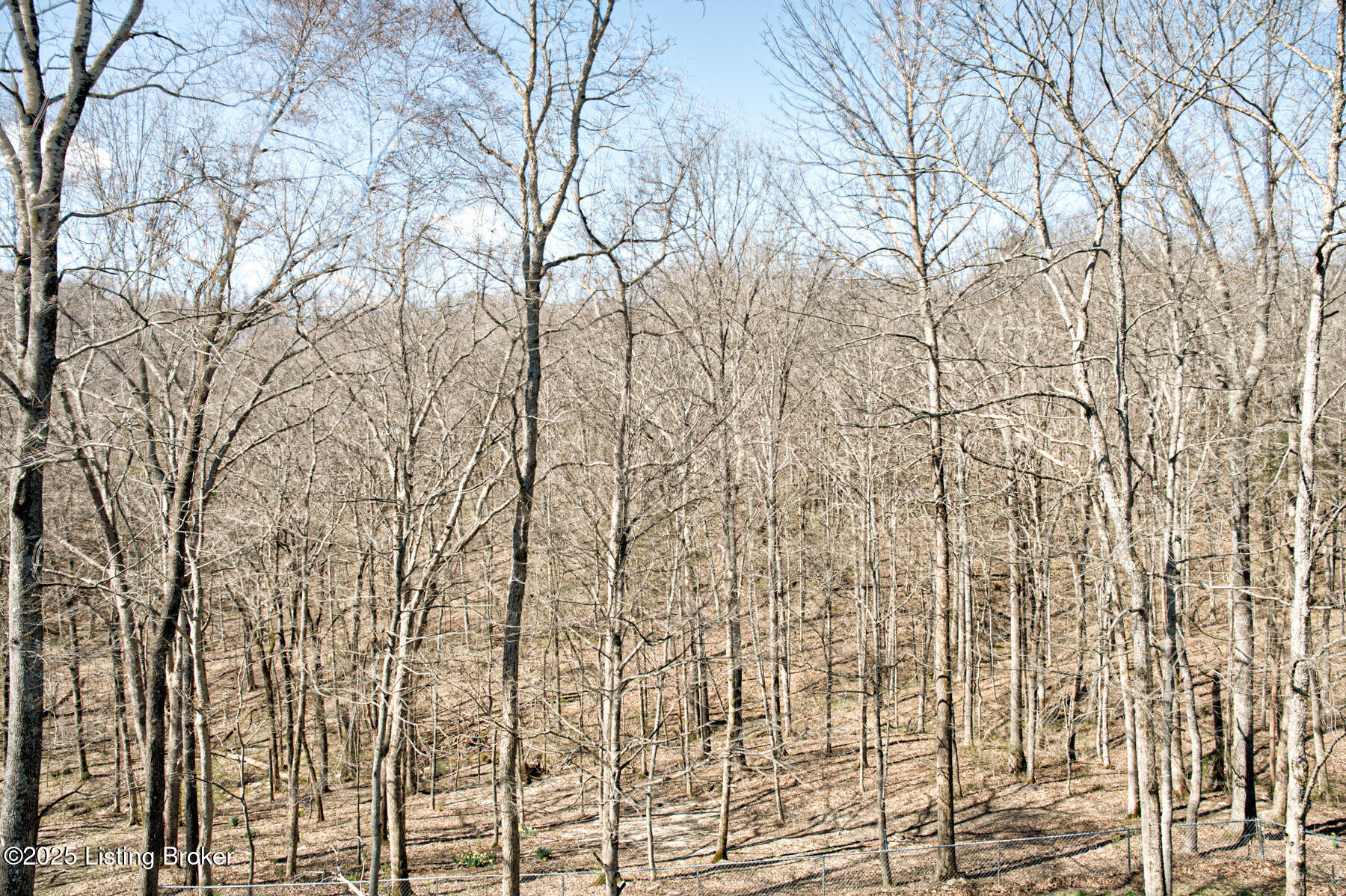 335 Scenic View Dr, Mt Washington, Kentucky image 46