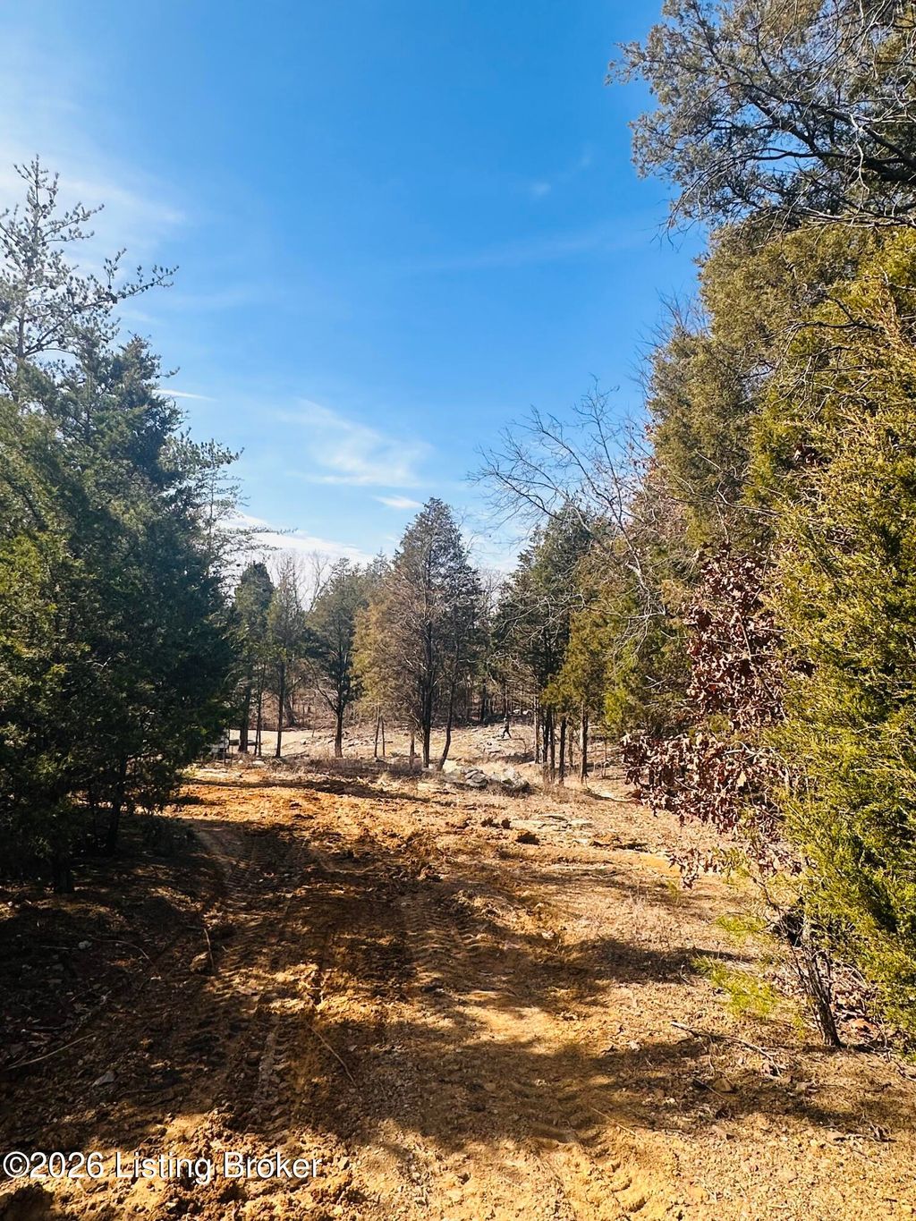 Photo of 350 Cave Creek Rd, Falls Of Rough, KY 40119 (MLS # 1710412)