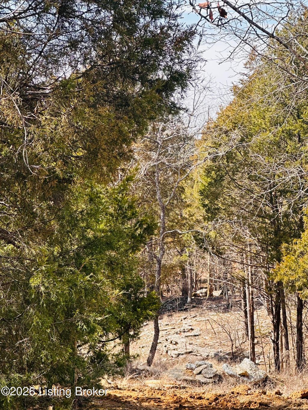 Photo of 350 Cave Creek Rd, Falls Of Rough, KY 40119 (MLS # 1710412)