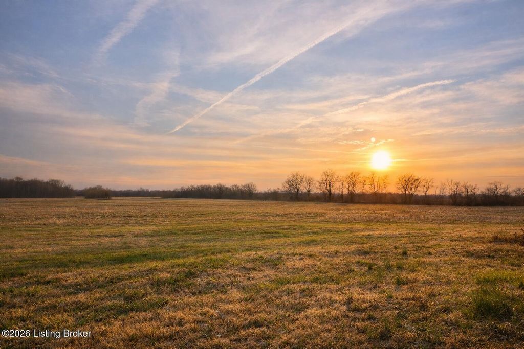 Photo of 1253 Todd Rd, Almo, KY 42020 (MLS # 1717114)