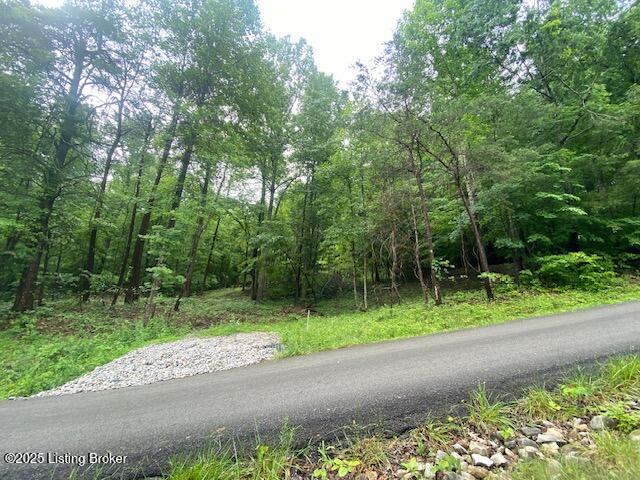 Waterview Ln, Cub Run, Kentucky image 3