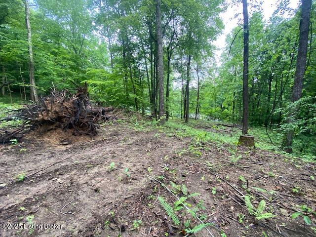 Waterview Ln, Cub Run, Kentucky image 5