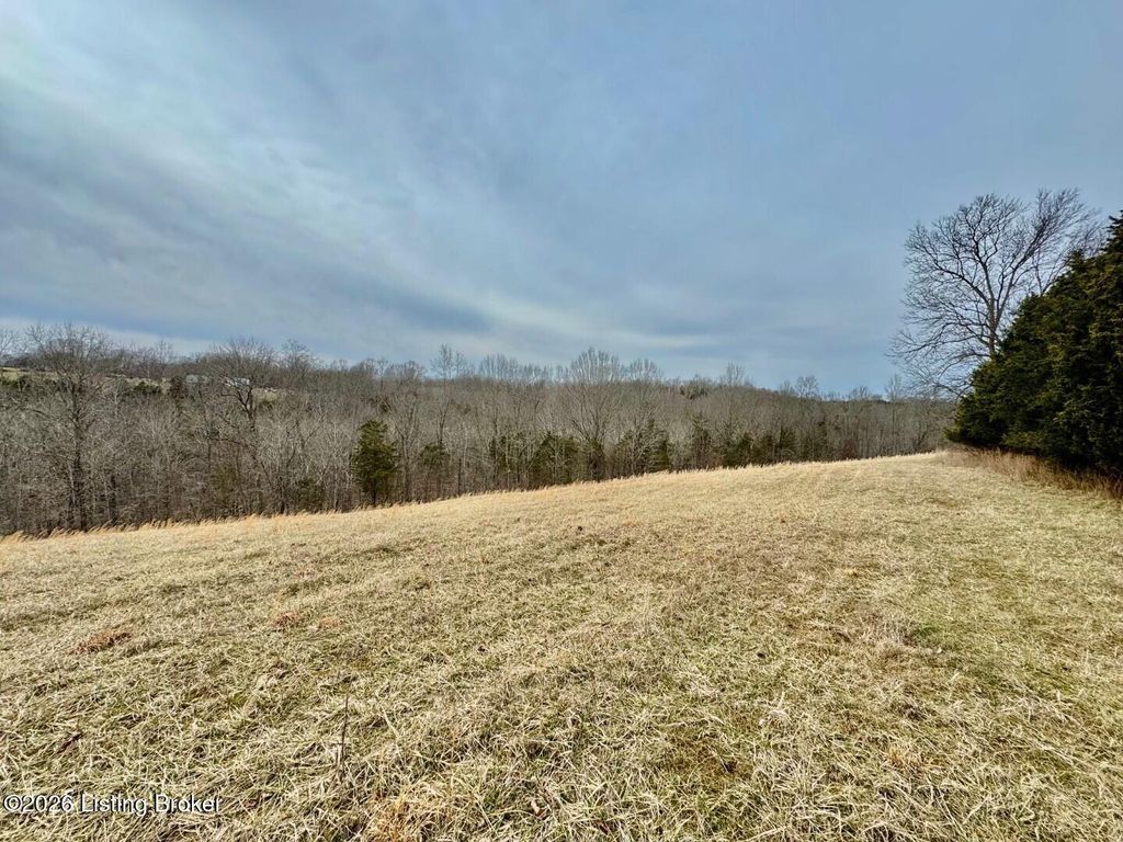 Photo of 0 Brush Grove Rd, Willisburg, KY 40078 (MLS # 1710148)