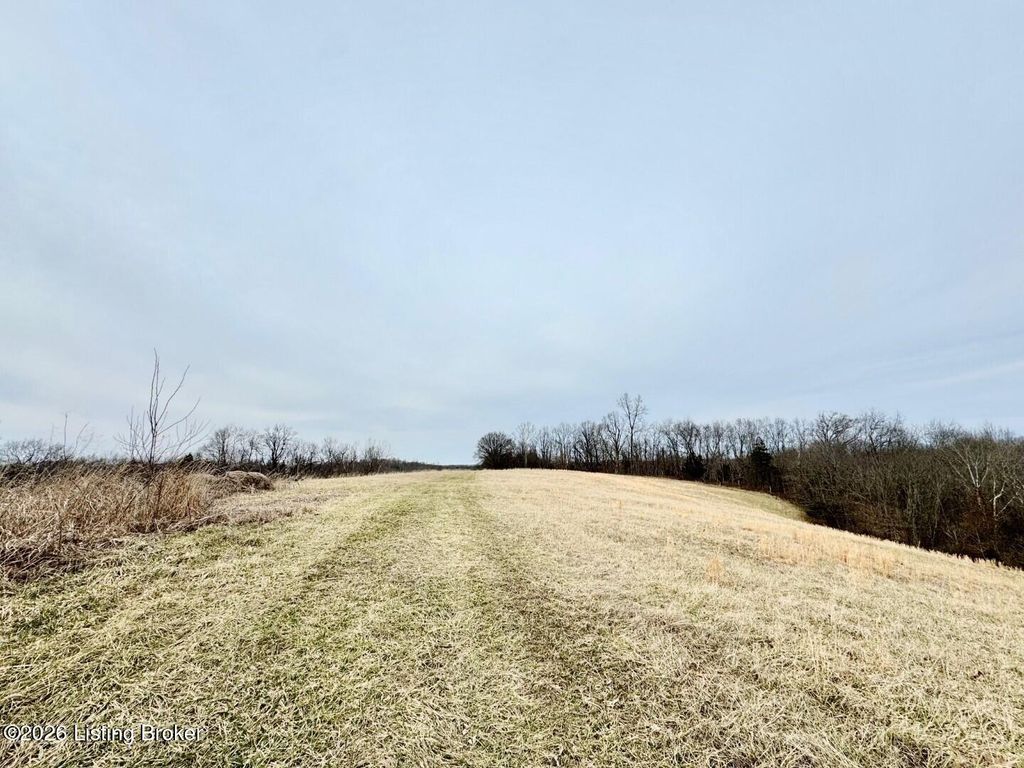Photo of 0 Brush Grove Rd, Willisburg, KY 40078 (MLS # 1710148)