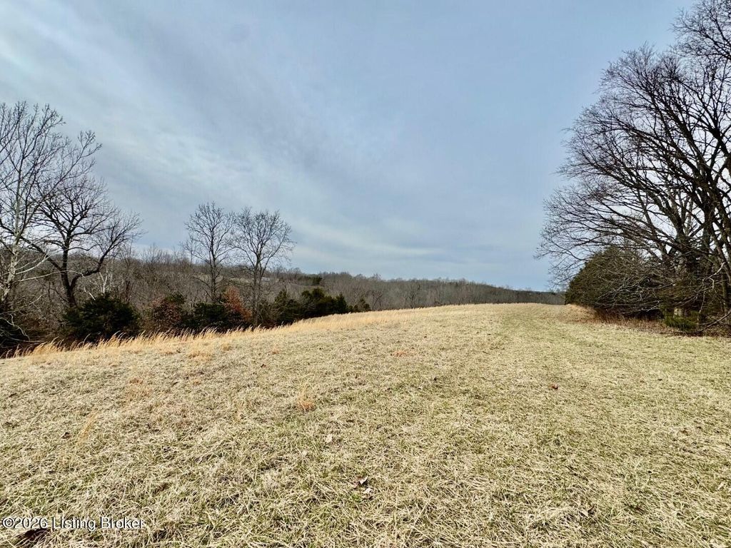 Photo of 0 Brush Grove Rd, Willisburg, KY 40078 (MLS # 1710148)