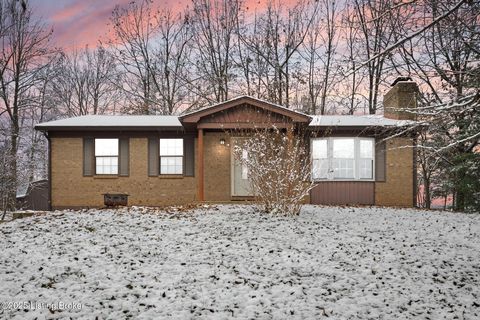 Photo of 1964 Rineyville Big Springs Rd, Rineyville, KY 40162 (MLS # 1704792)