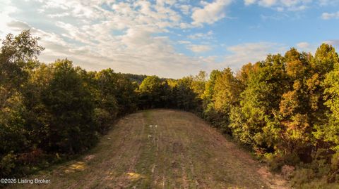 Vacant Land For Sale - 8 AC Jericho Church Rd<br/> Hart County, Cub Run, KY 42729