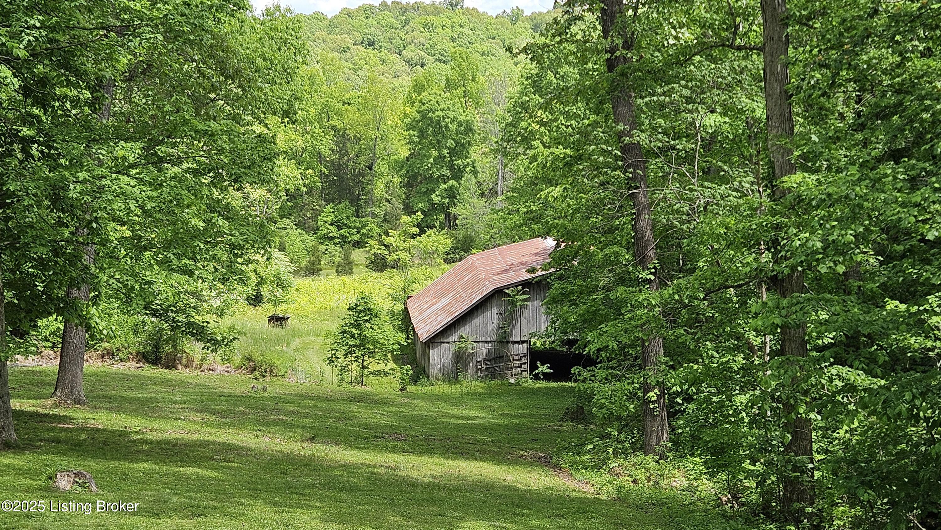 1250 Arnold School Rd, Webster, Kentucky image 8