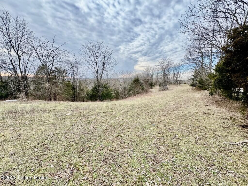 Photo of 1701 Royalty Ridge Rd, Willisburg, KY 40078 (MLS # 1707801)