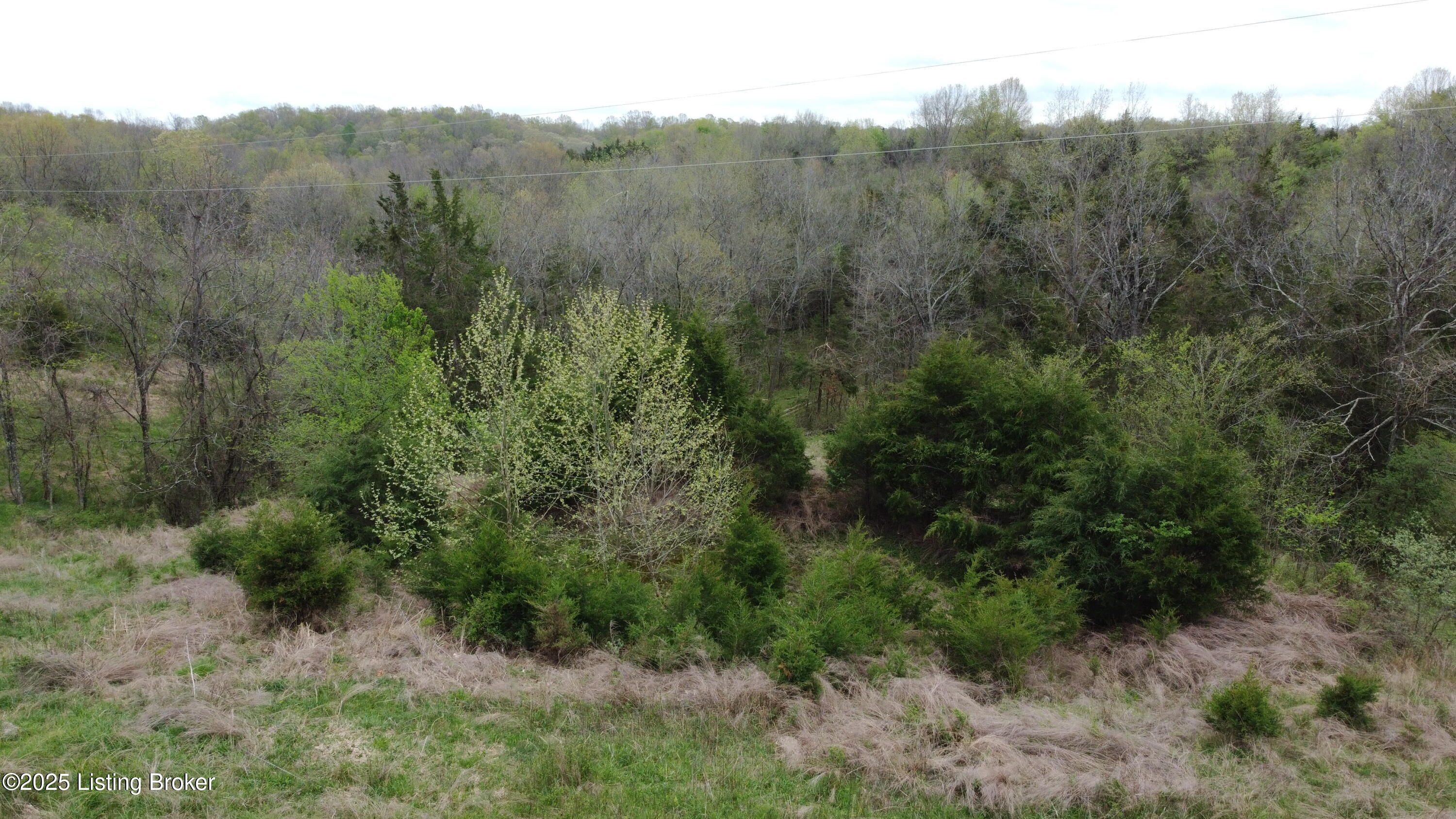 627 Stoney Hollow Rd, Mount Eden, Kentucky image 15