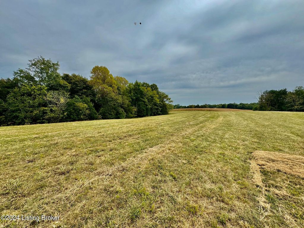 Photo of 11 Hillsboro Ln, Springfield, KY 40069 (MLS # 1712235)