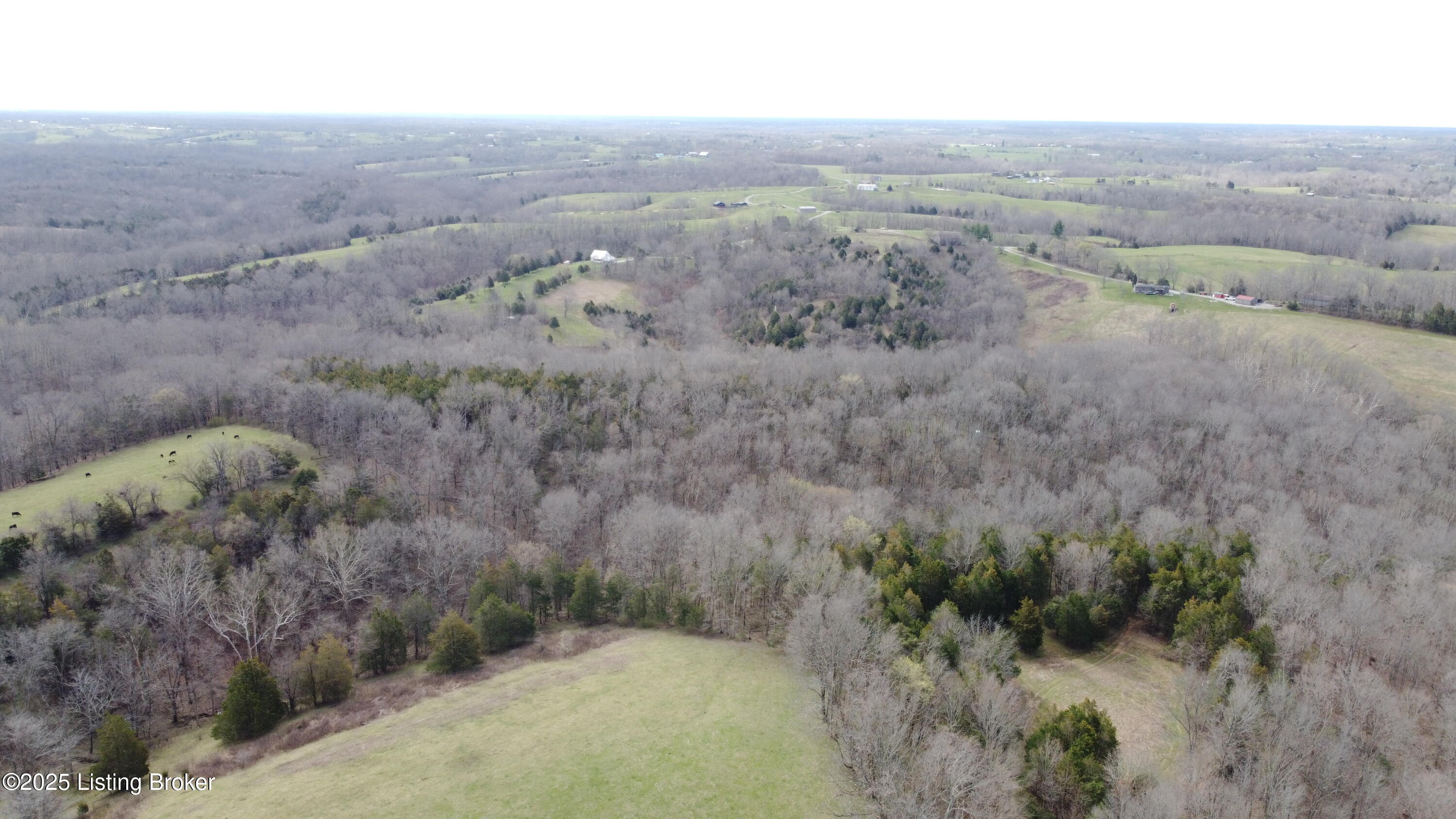 6436 Hempridge Rd, Shelbyville, Kentucky image 42