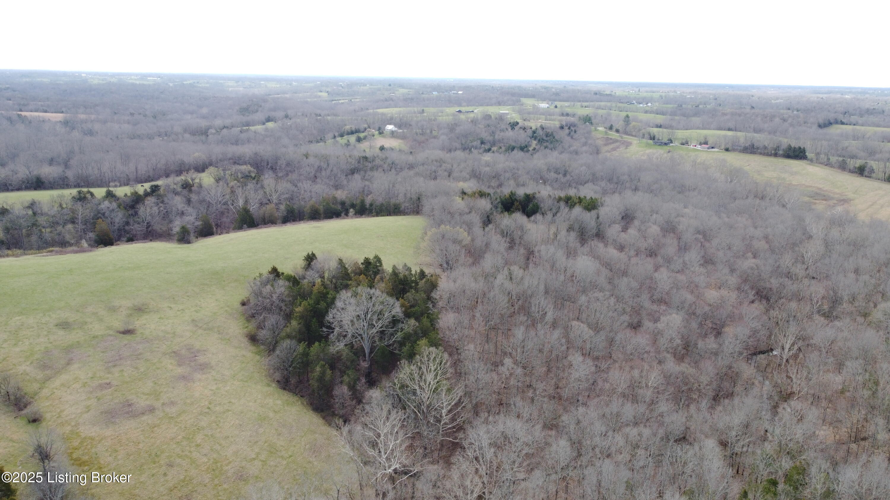 6436 Hempridge Rd, Shelbyville, Kentucky image 41