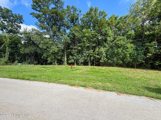 46 BETTY CT, TAYLORSVILLE, KY 40071 - Image 66a2ea7a17e8f4f9073fbf31b93e8a2a/2299751148