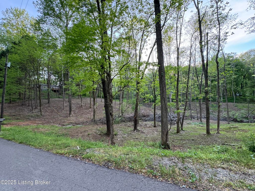 Photo of Lot 44A Walleye Way, Scottsville, KY 42164 (MLS # 1704218)
