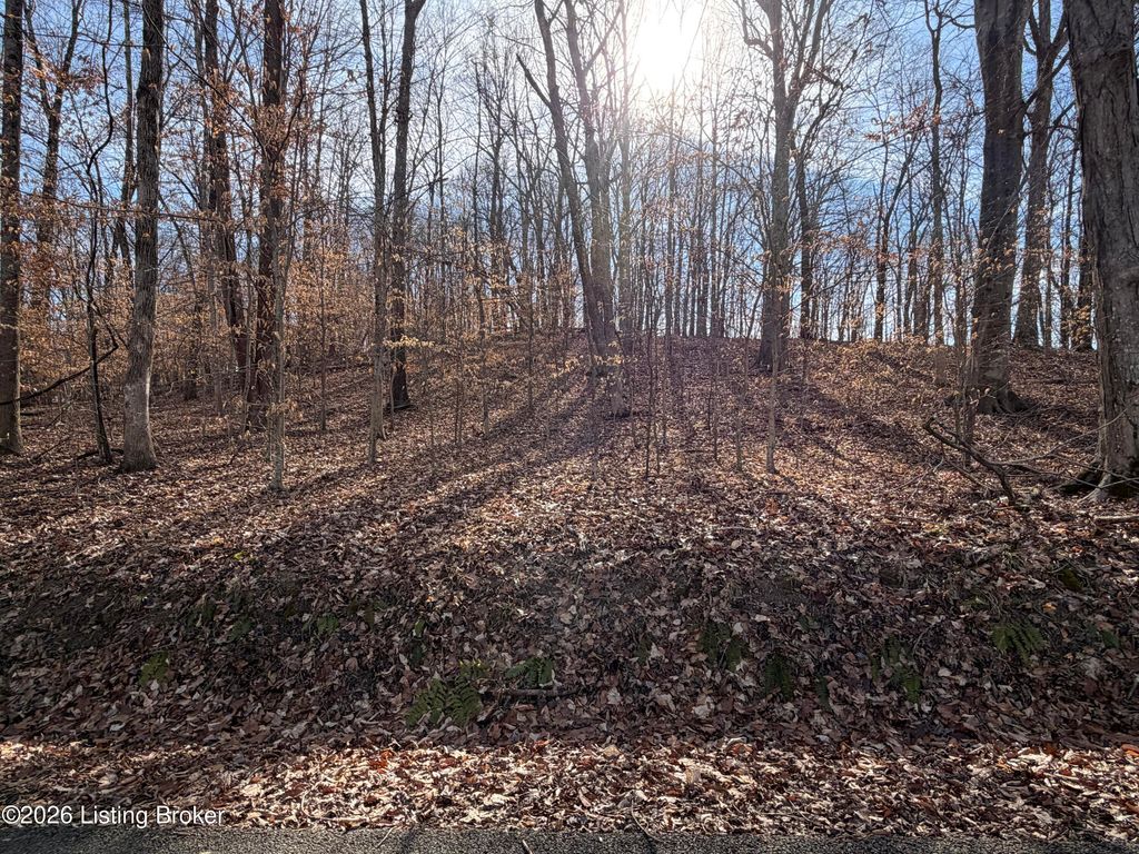 Photo of 0-3 Noah Stevenson Rd, Bee Springs, KY 42207 (MLS # 1709480)