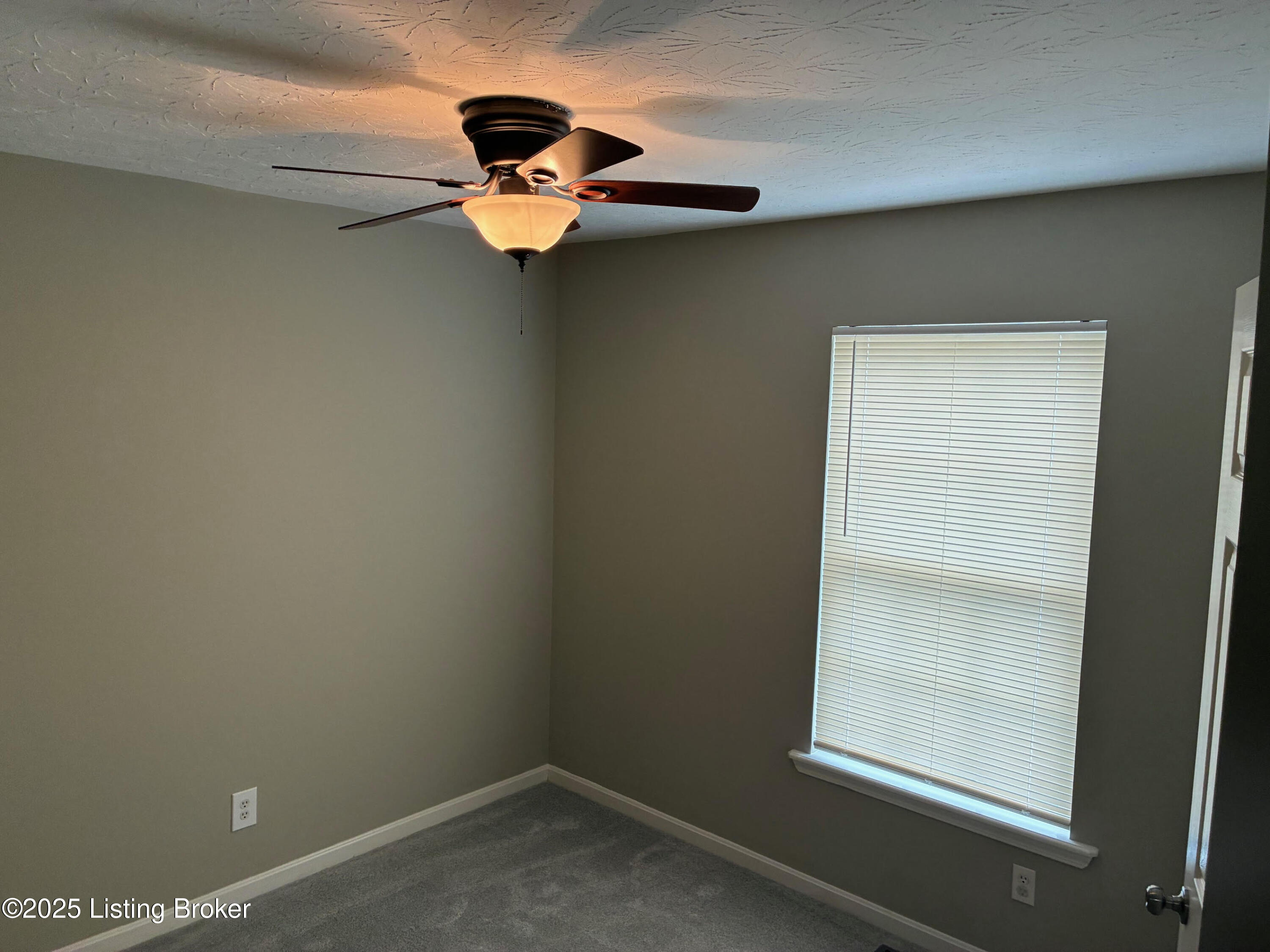 6306 Hines Mill Way, Louisville, Kentucky image 19
