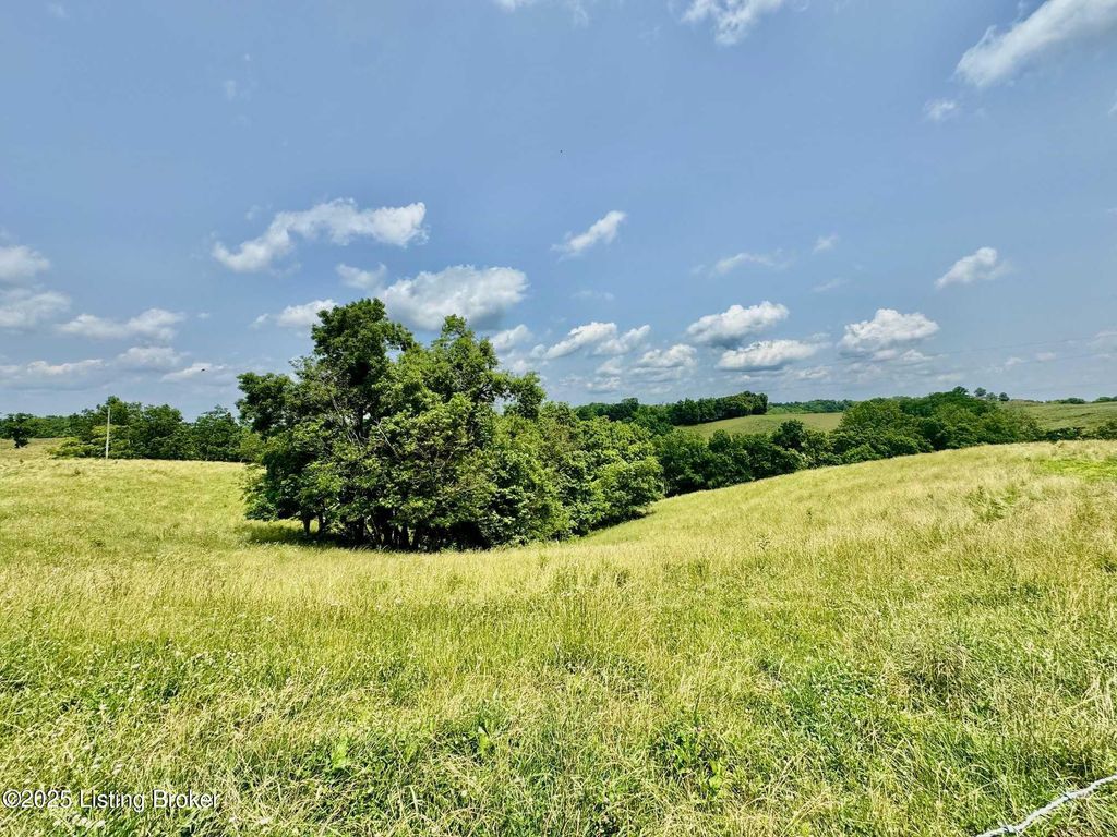 Photo of 3700 Baker Ridge Rd, Willisburg, KY 40078 (MLS # 1705099)