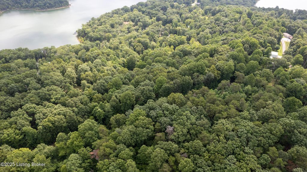 Photo of 7 Vanmeter Cemetery Rd, Bee Springs, KY 42207 (MLS # 1710646)