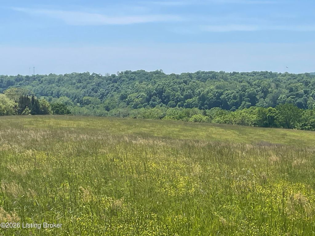 Photo of 180 Valley Hill Rd, Springfield, KY 40069 (MLS # 1717956)