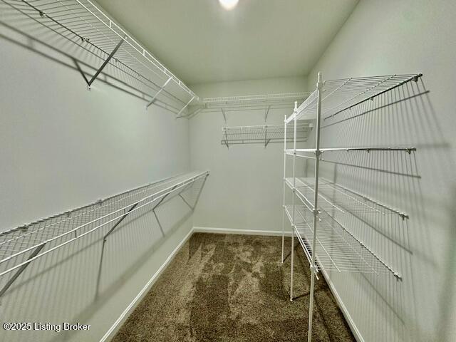 7036 Train Station Way, Louisville, Kentucky image 9