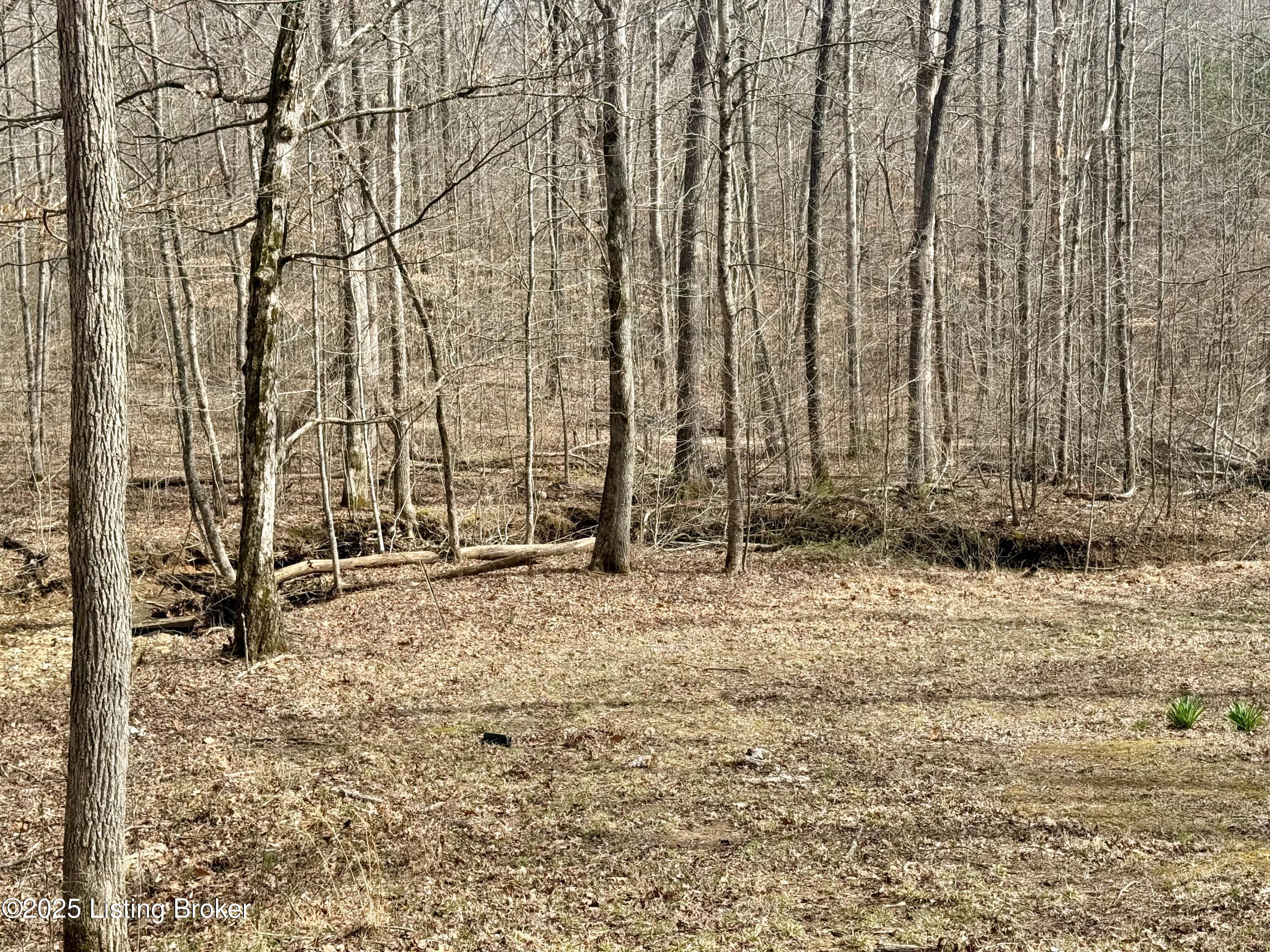 394 Briarwood Dr, Leitchfield, Kentucky image 14