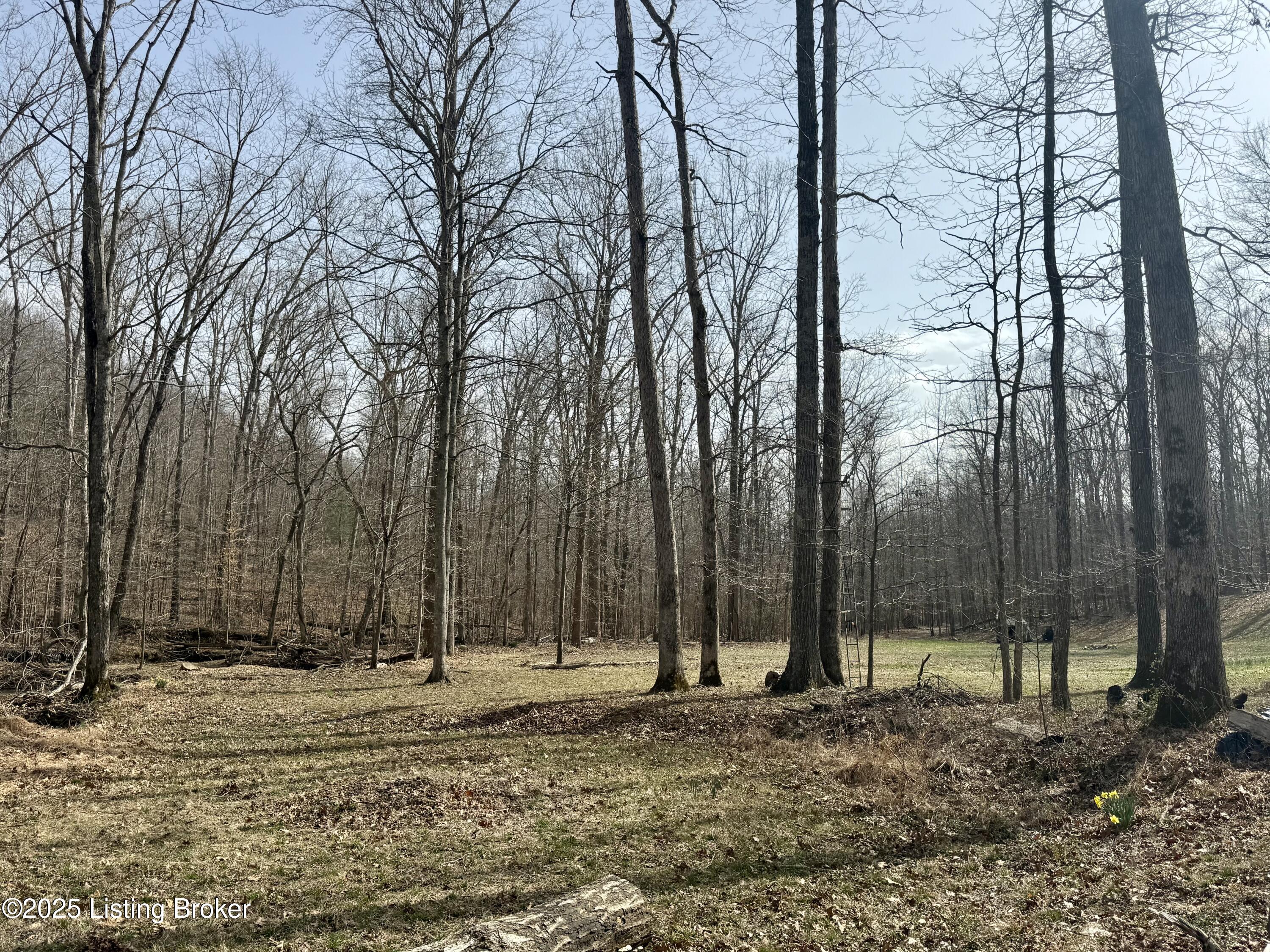 394 Briarwood Dr, Leitchfield, Kentucky image 12