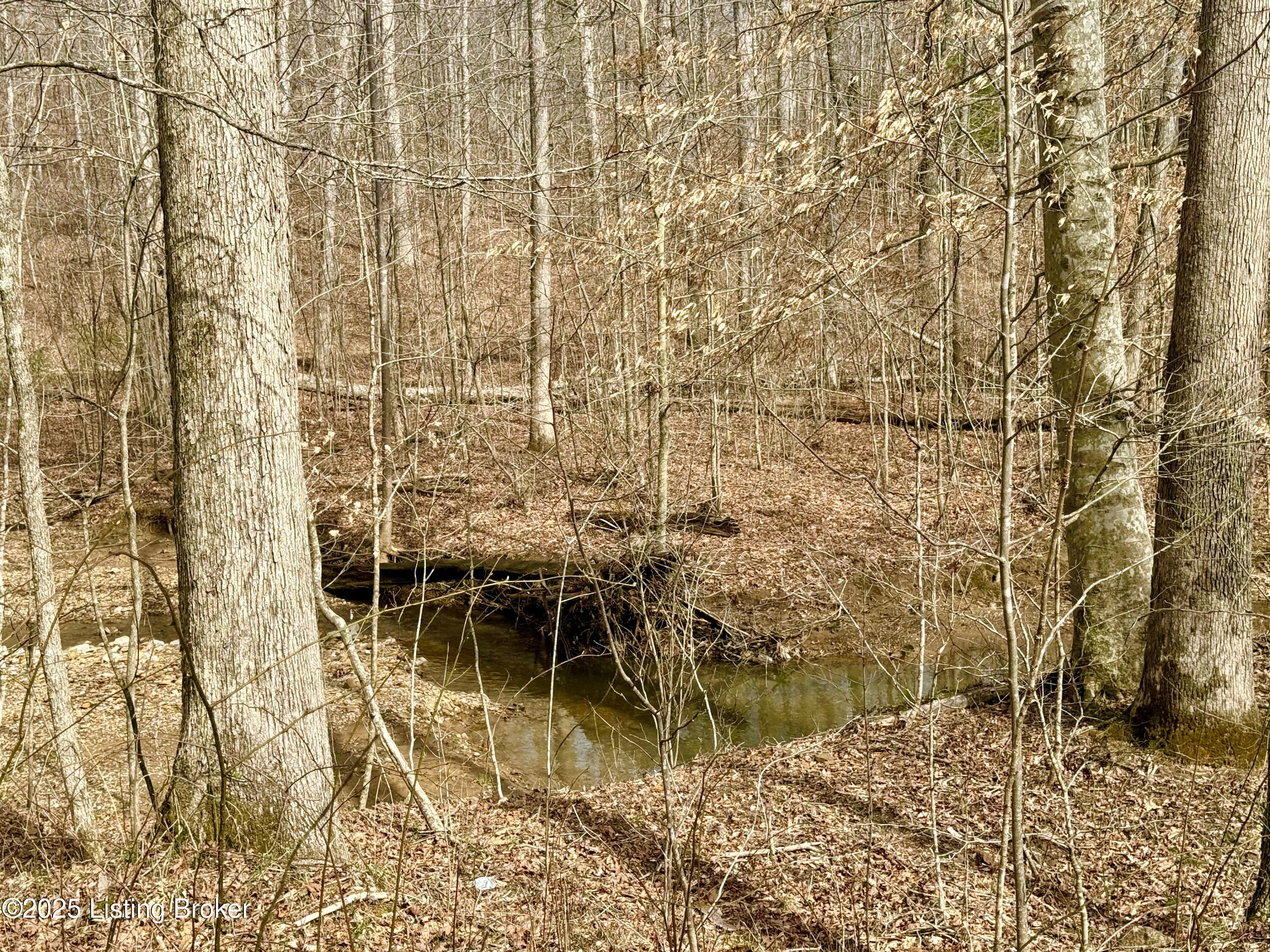 394 Briarwood Dr, Leitchfield, Kentucky image 13