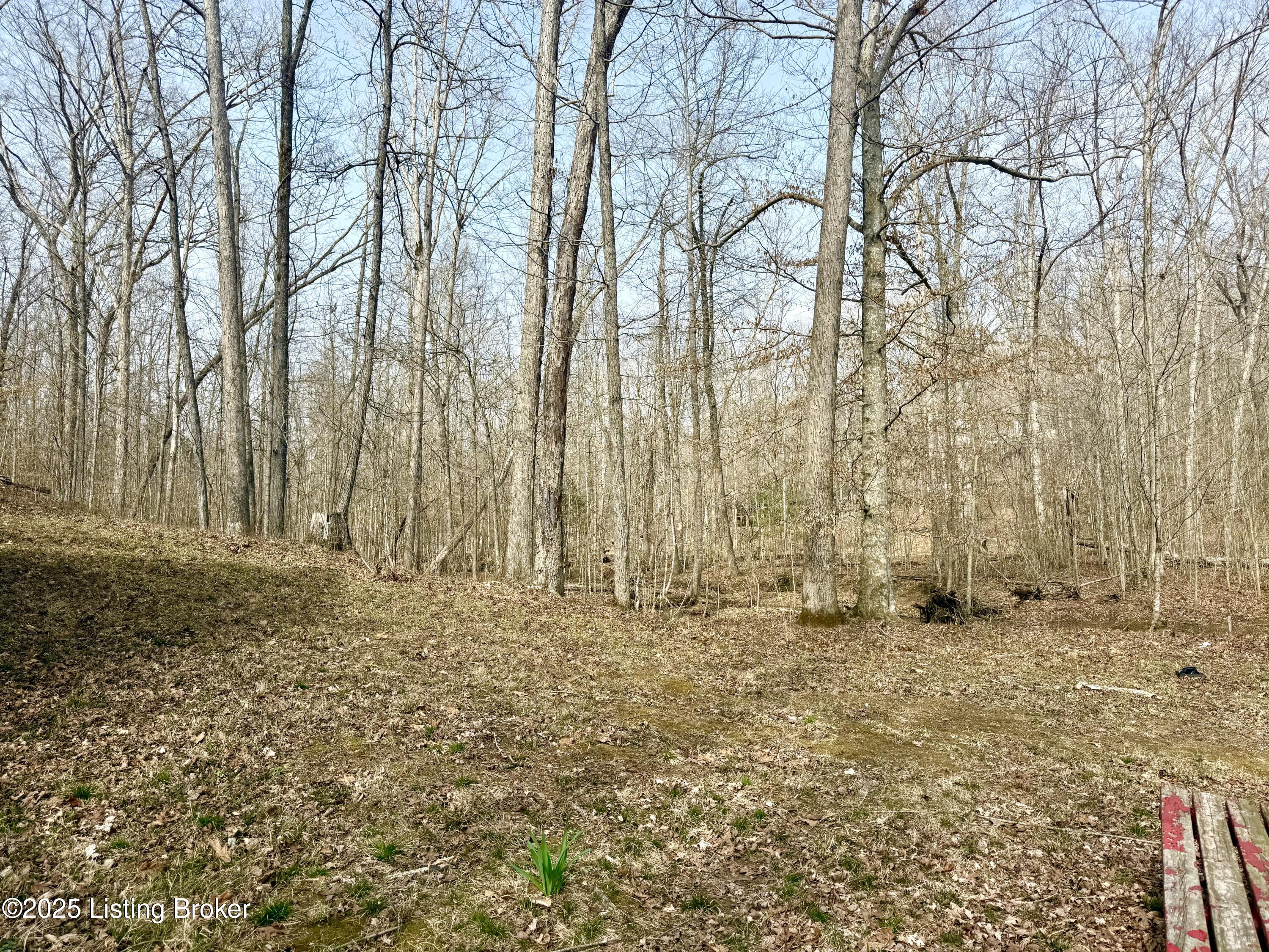 394 Briarwood Dr, Leitchfield, Kentucky image 5