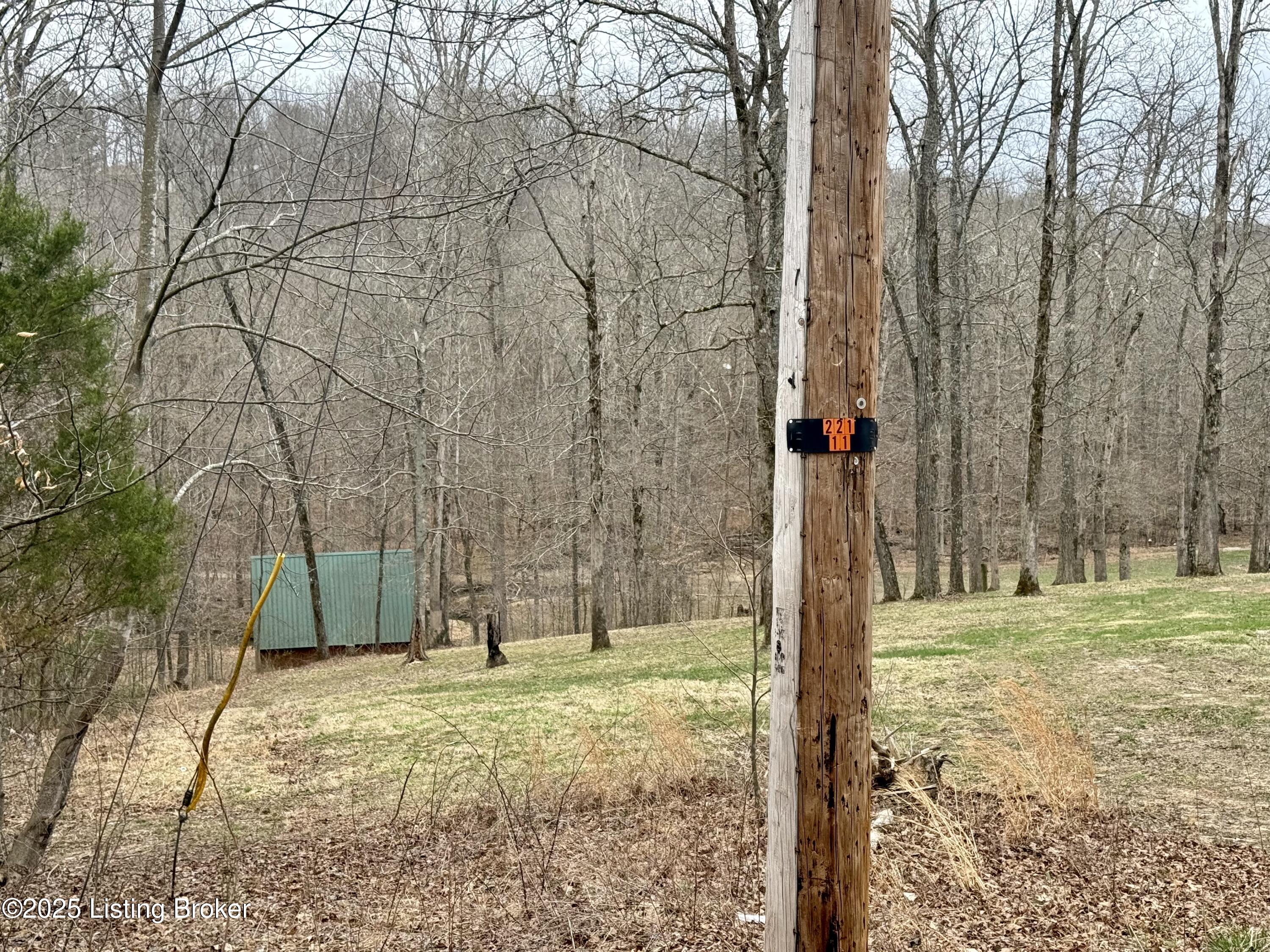 394 Briarwood Dr, Leitchfield, Kentucky image 21