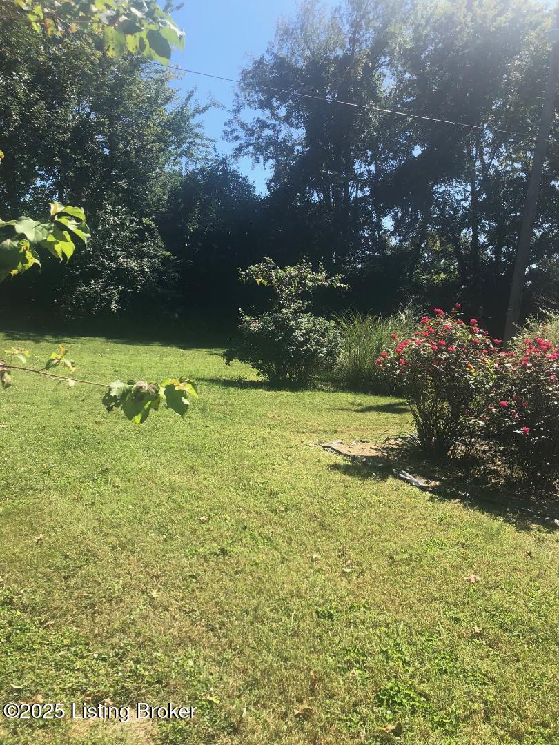 145 Dutch Row Rd, New Liberty, Pennsylvania image 8