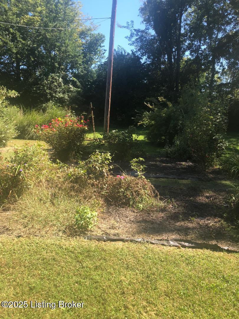 145 Dutch Row Rd, New Liberty, Pennsylvania image 6